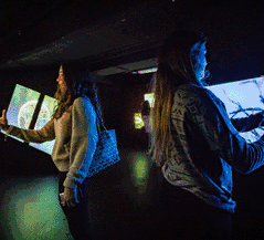 ��ý�wˇ�g(sh��)չ|��New Nature���������M(j��n)�k��������