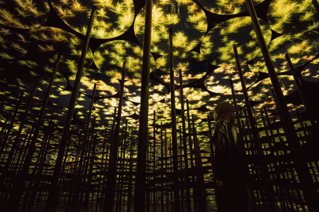 �L(f��ng)��ȫ���teamLab�ڏV�����˂�(g��)��(m��ng)������