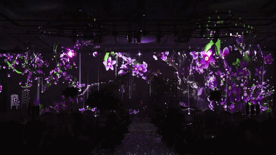 40��N���}|�Ώ�(f��)ʢ�Yӛ�Ƶ�5DȫϢ���(hu��)�d