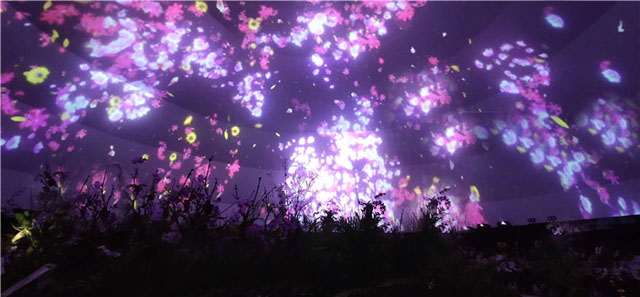 �׌�������(gu��)�H�������ι�(ji��)360����Ļ��Ӱ��