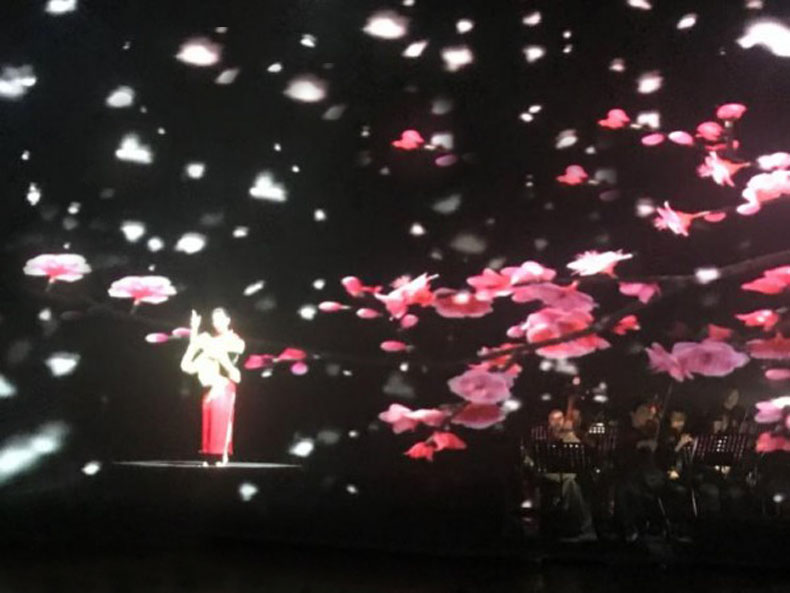 ȫϢͶӰ��������ë��ϯԊ�~�u(p��ng)����힕�(hu��)